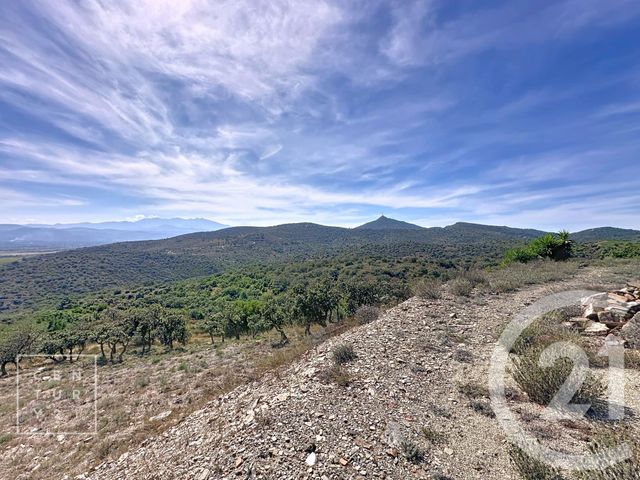 maison à vendre - 13 pièces - 486.88 m2 - CALCE - 66 - LANGUEDOC-ROUSSILLON - Century 21 Riberal