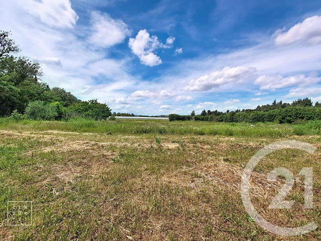 maison à vendre - 5 pièces - 168.99 m2 - PEZILLA LA RIVIERE - 66 - LANGUEDOC-ROUSSILLON - Century 21 Riberal